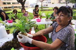 Taller de Mini Biohuertos