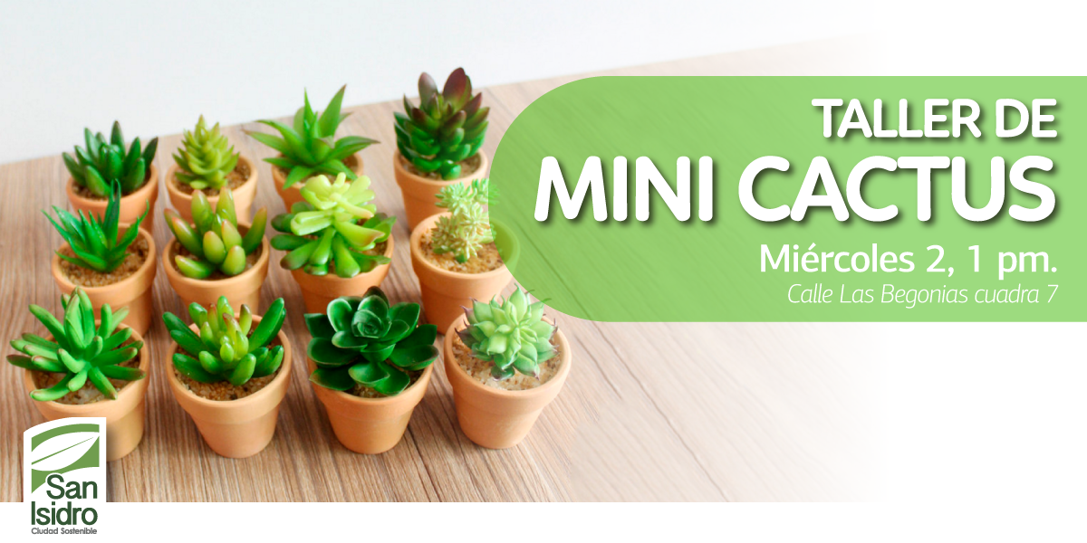 Taller de Mini Cactus