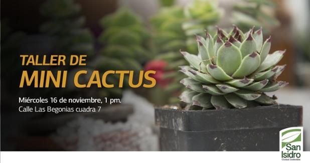 Taller de Mini Cactus