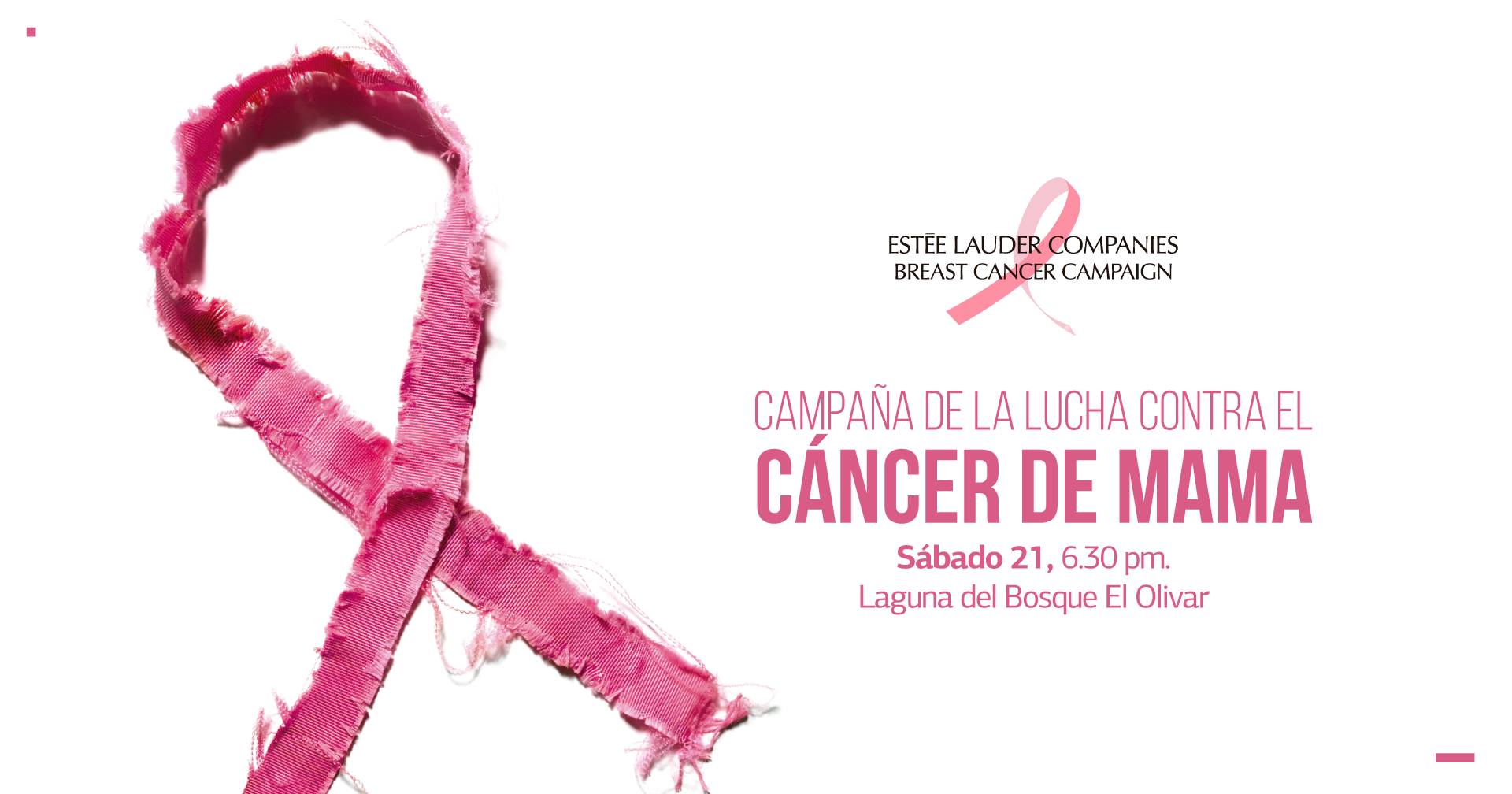 Campaña de lucha contra el cáncer de mama