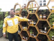 abejas apicultura septiembre 2019 (1)