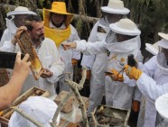 abejas apicultura septiembre 2019 (10)