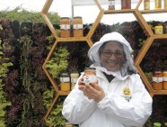 abejas apicultura septiembre 2019 (2)