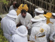 abejas apicultura septiembre 2019 (8)