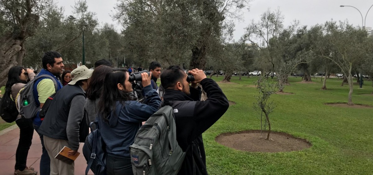 birdwatching olivar septiembre 2019(1)