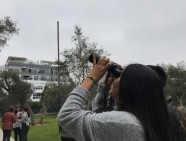 birdwatching olivar septiembre 2019(3)