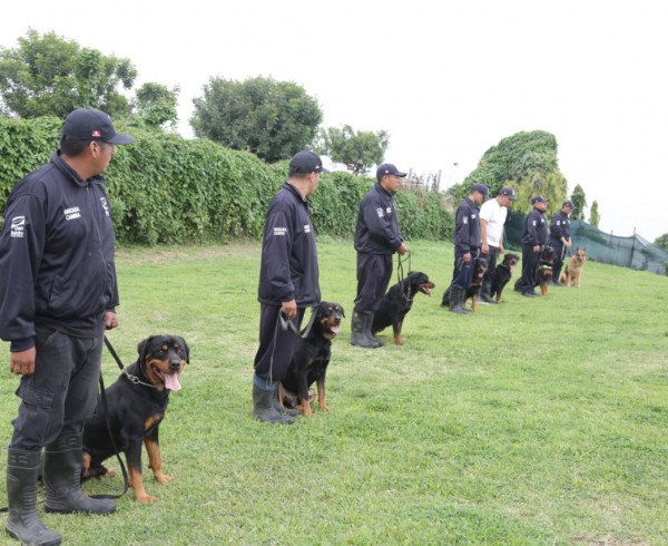 brigada caninca septiembre 2019 (6)