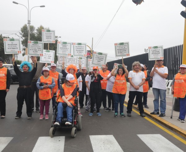 dia discapacidad omaped (2)
