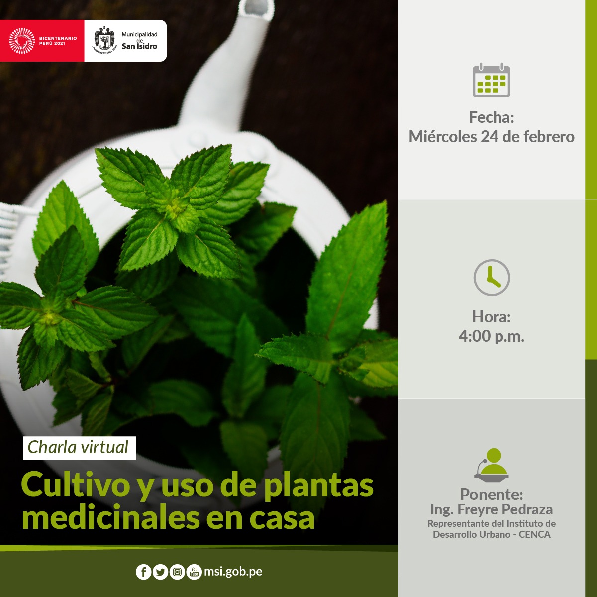 Cultivo y uso de plantas medicinales en casa