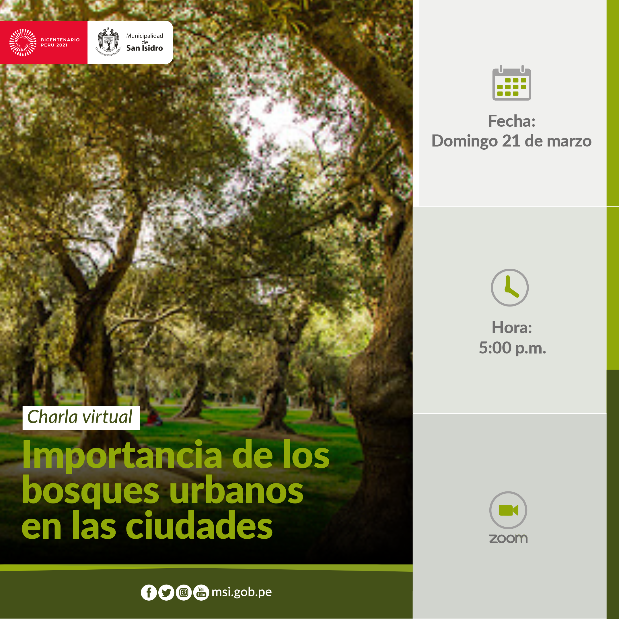 Importancia de los bosques urbanos en las ciudades