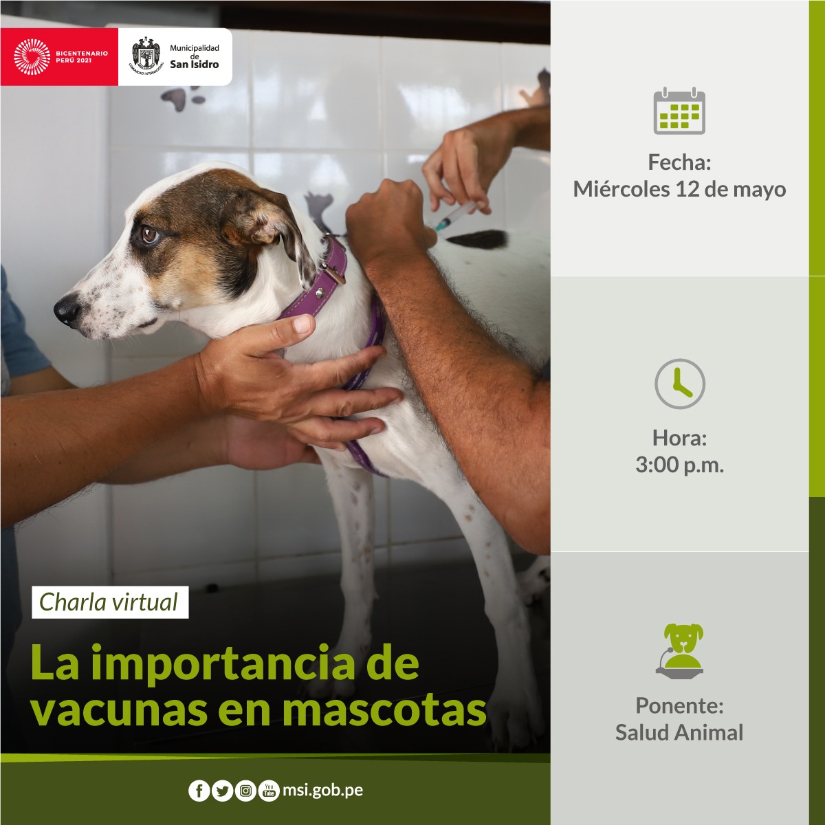 La importancia de vacunas en mascotas