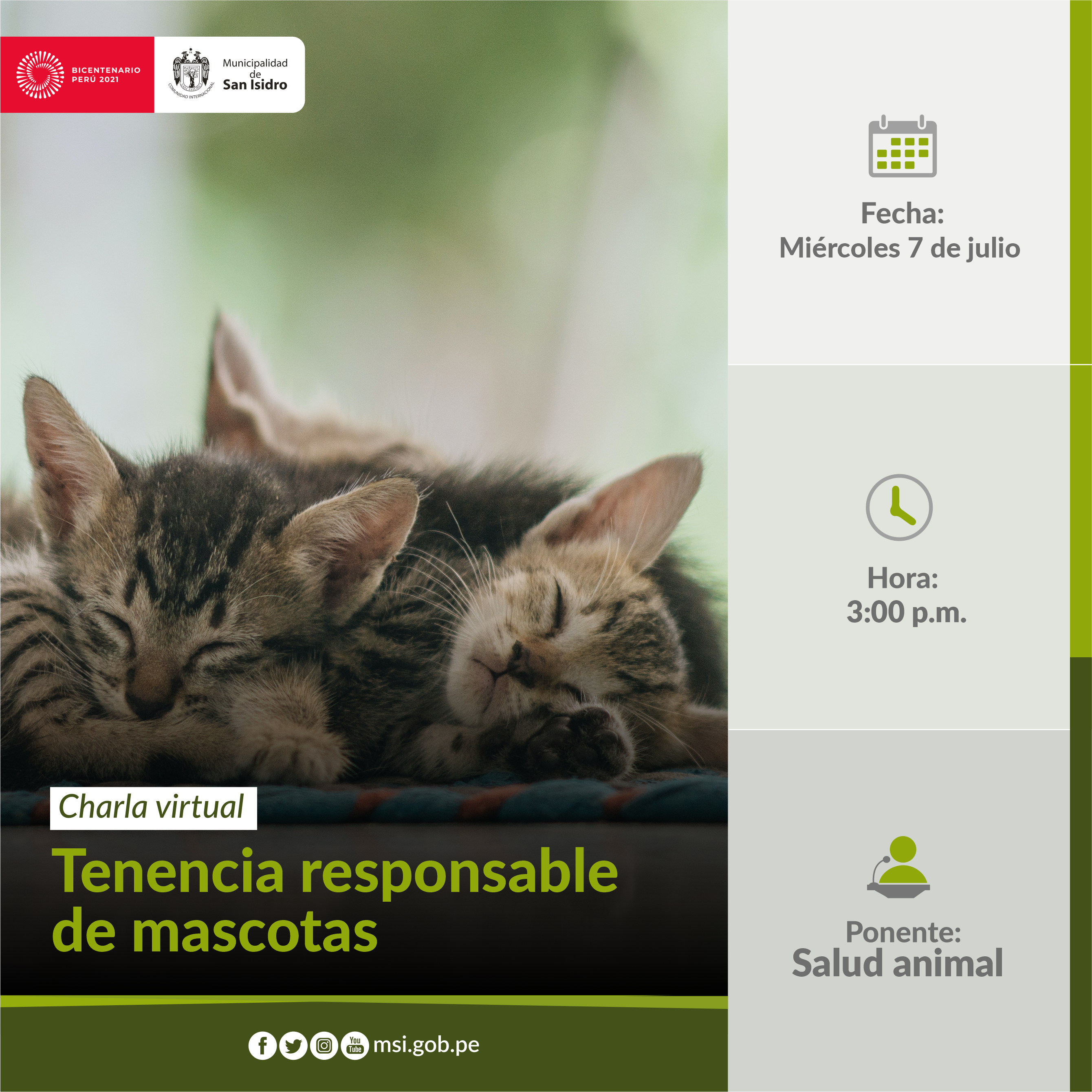 Tenencia responsable de mascotas