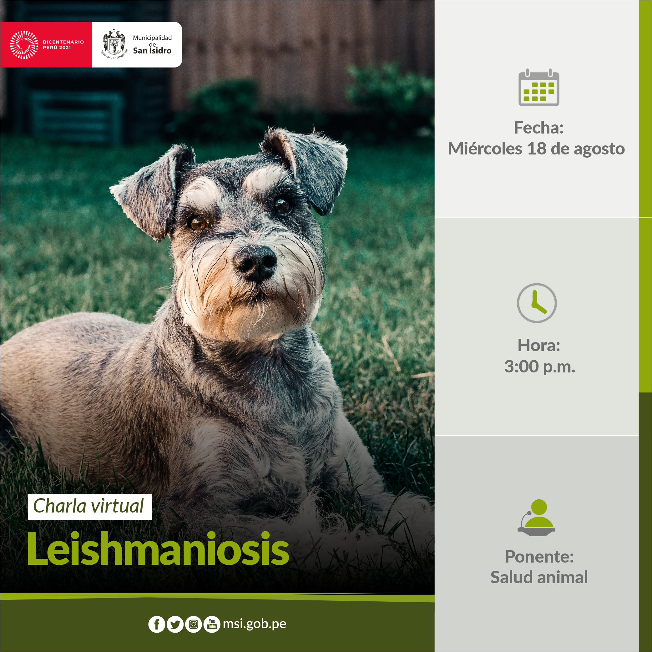 Leishmaniosis