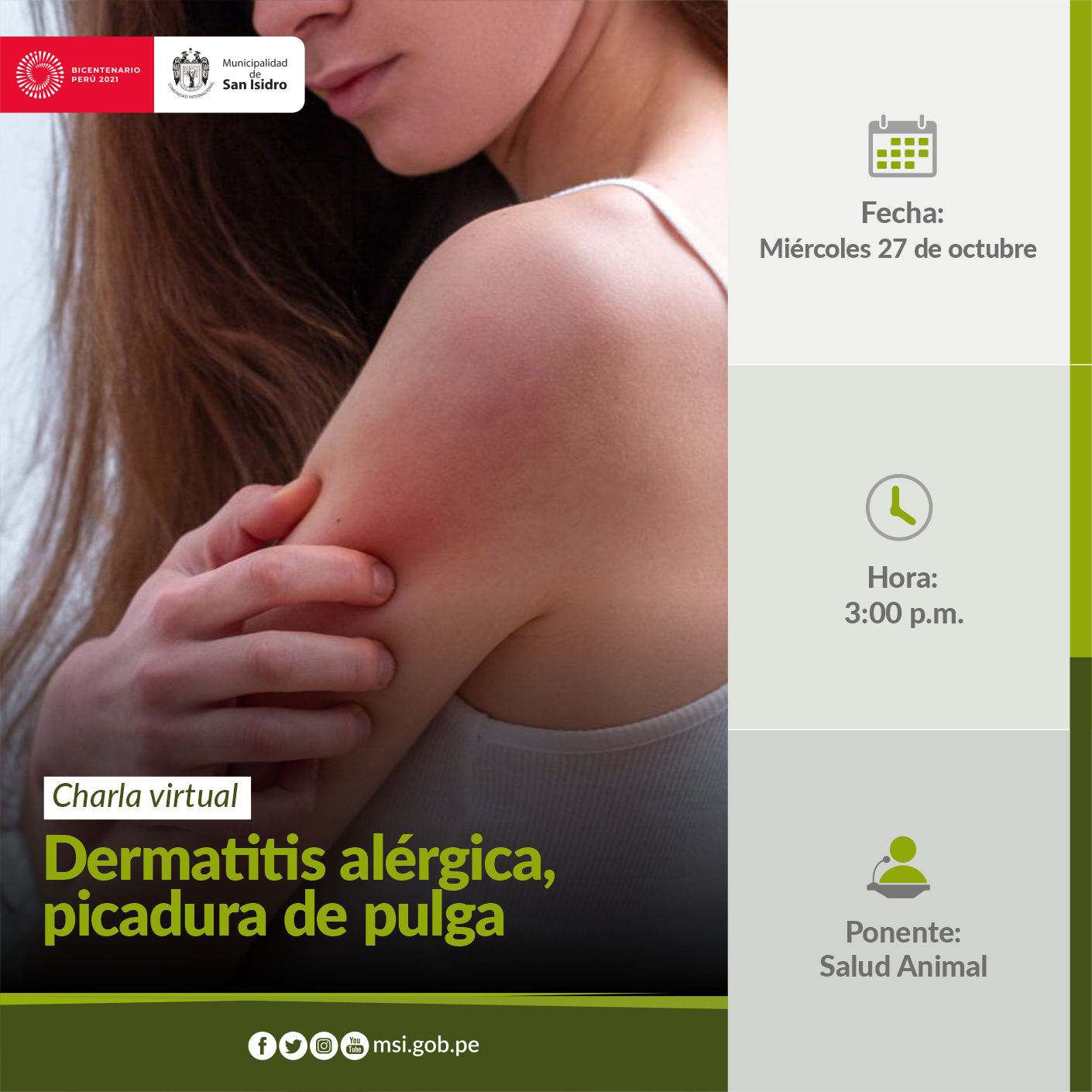 Dermatitis alérgica