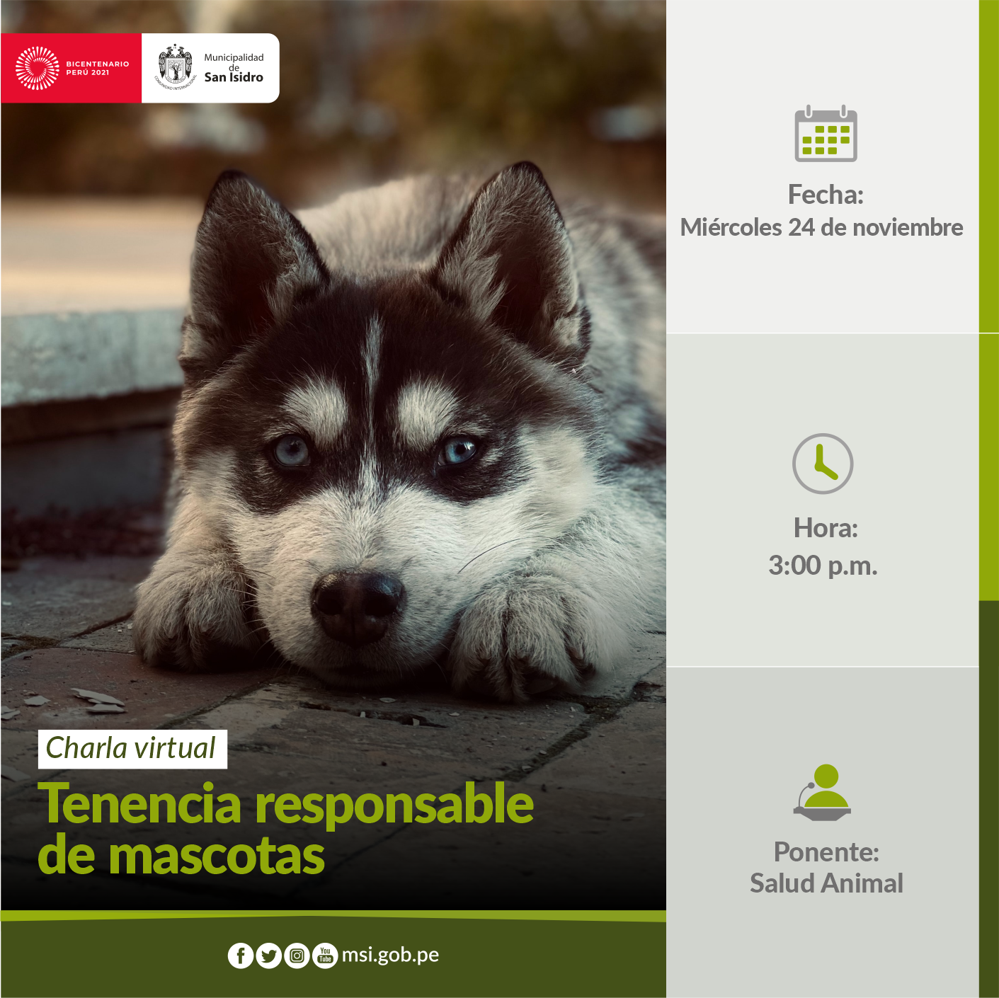 Tenencia responsable de mascotas