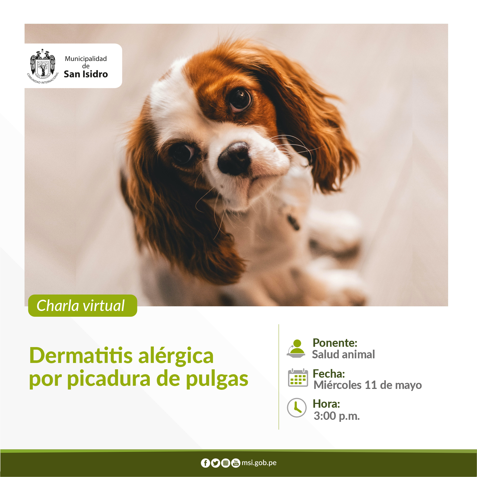 Dermatitis alergica por picadura de pulgas