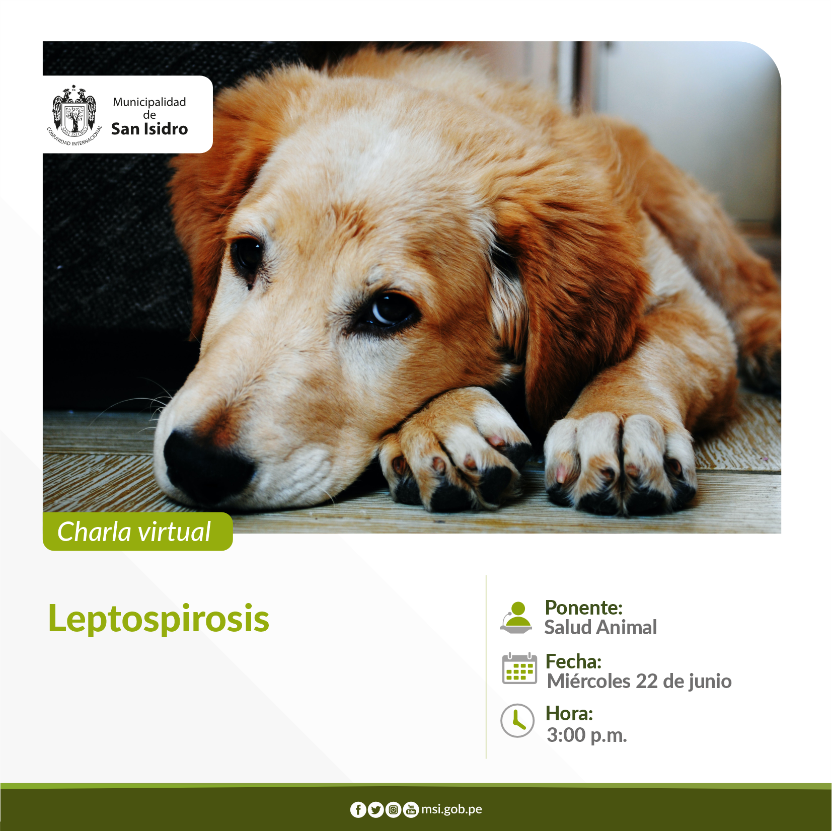 Leptospirosis