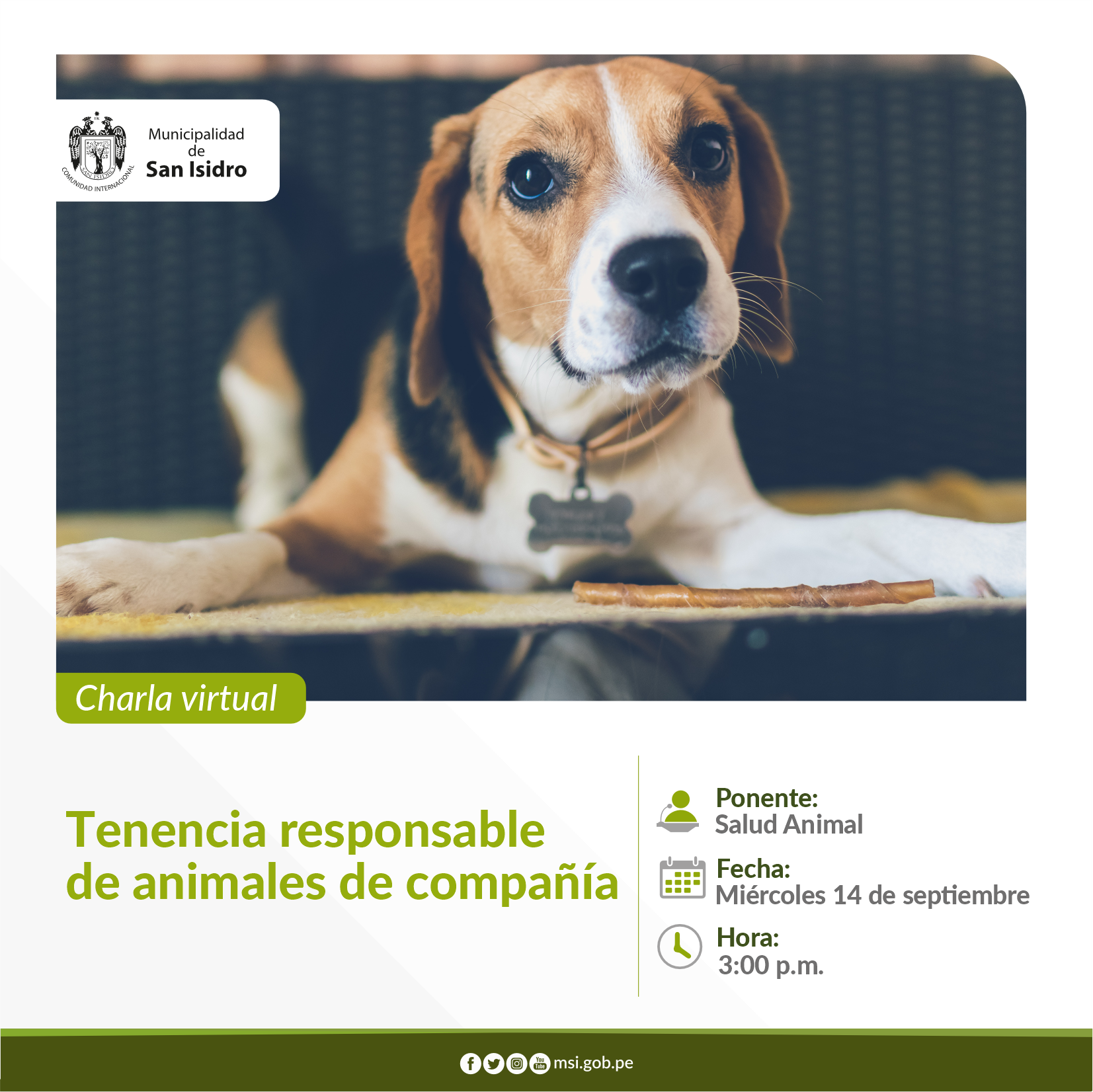 Tenencia responsable  de animales de compañía