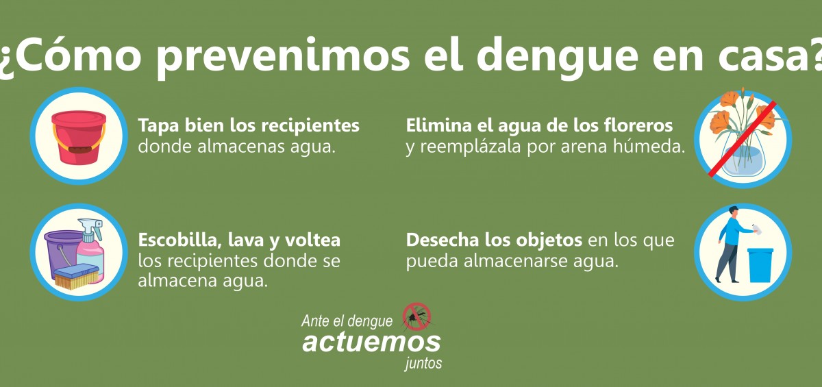 banner web dengue_page-0001