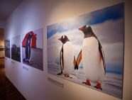 Muestra El Peru en la Antártida 4