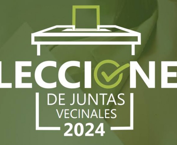 Elecciones vecinales 2024 - 2025