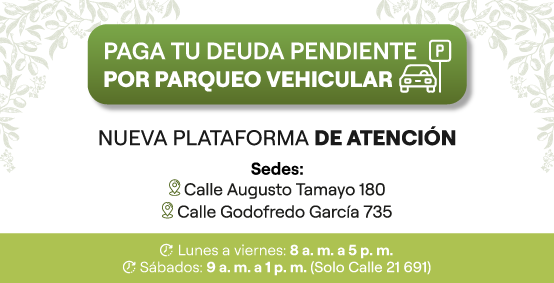 parqueo-calle-21