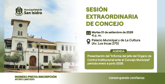 banner sesiones consejo web 2026_Mesa de trabajo LL